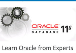 Oracle Database Training