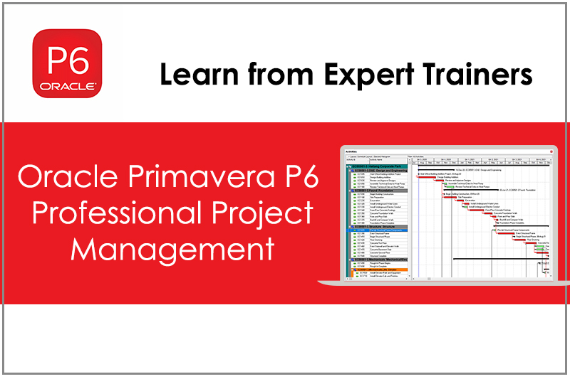 Oracle Primavera P6 Professional Project Management